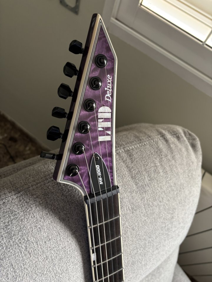 ESP LTD MH-1000 NT Deluxe See Thru Purple