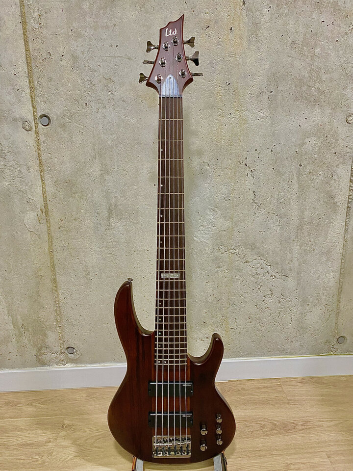ESP-LTD D6