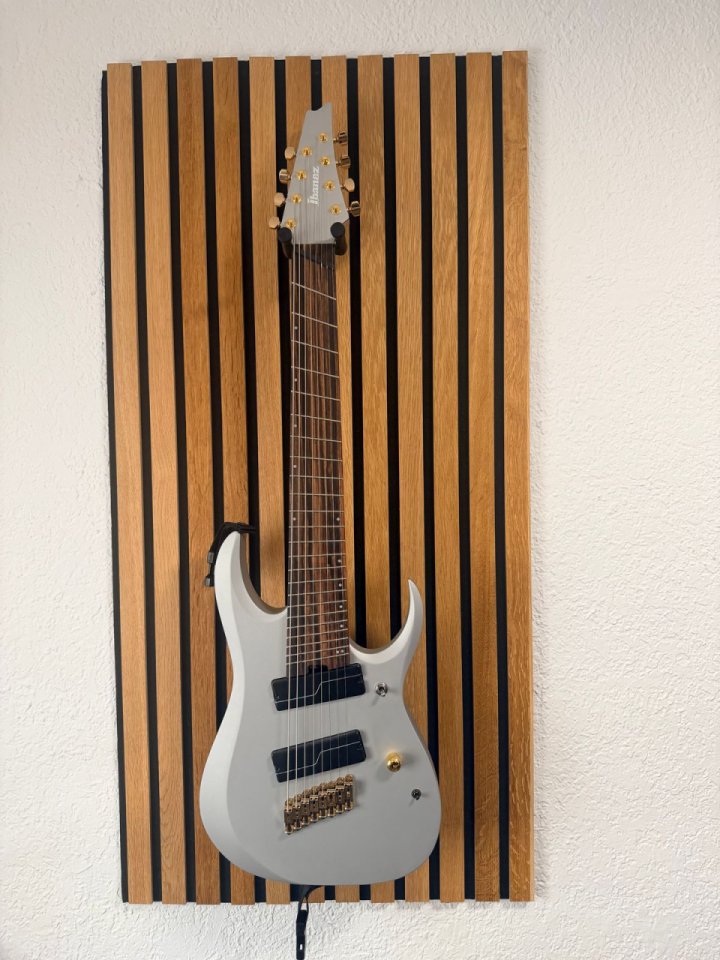 Ibanez RGDMS8 - 8 cuerdas de segunda mano · Foto 1 de 5 · Barcelona · 850 €