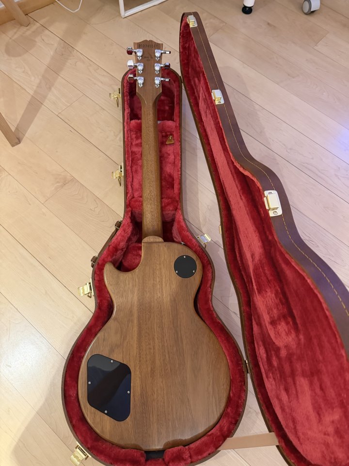 Gibson Kirk Hammett "Greeny" LP Std. de segunda mano · Foto 5 de 8 · Valencia · 2300 €