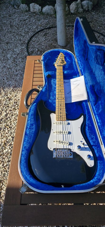 Vigier Expert Retro 54 o cambio por Stratocaster custom shop