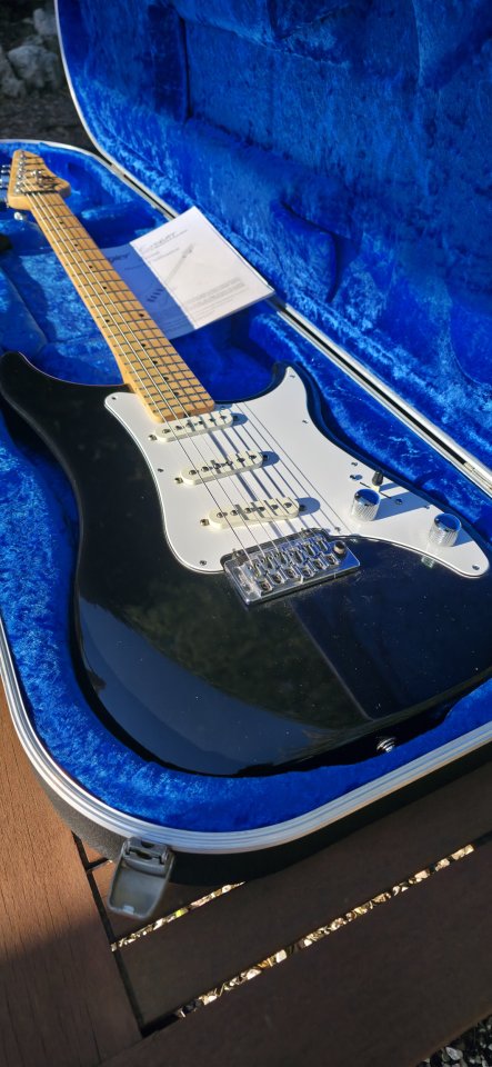 Vigier Expert Retro 54 o cambio por Stratocaster custom shop