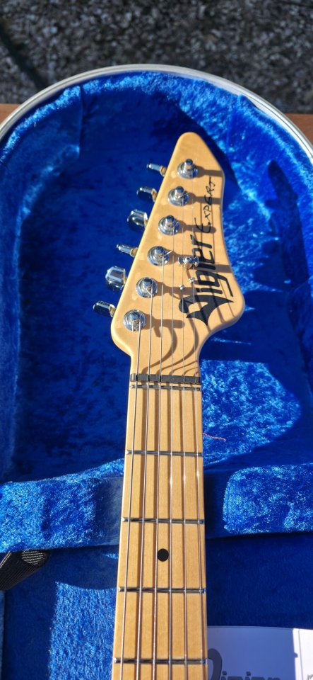 Vigier Expert Retro 54 o cambio por Stratocaster custom shop