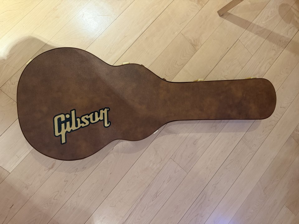 Gibson Kirk Hammett "Greeny" LP Std. de segunda mano · Foto 8 de 8 · Valencia · 2300 €