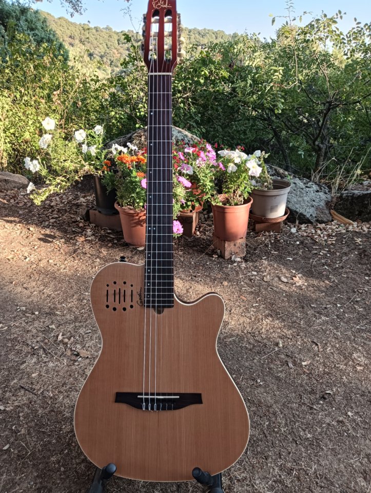 Godin Multiac Nylon Encore de segunda mano · Foto 1 de 6 · Toledo · 990 €