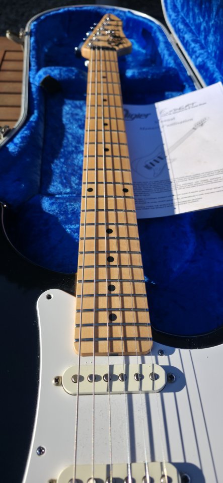 Vigier Expert Retro 54 o cambio por Stratocaster custom shop