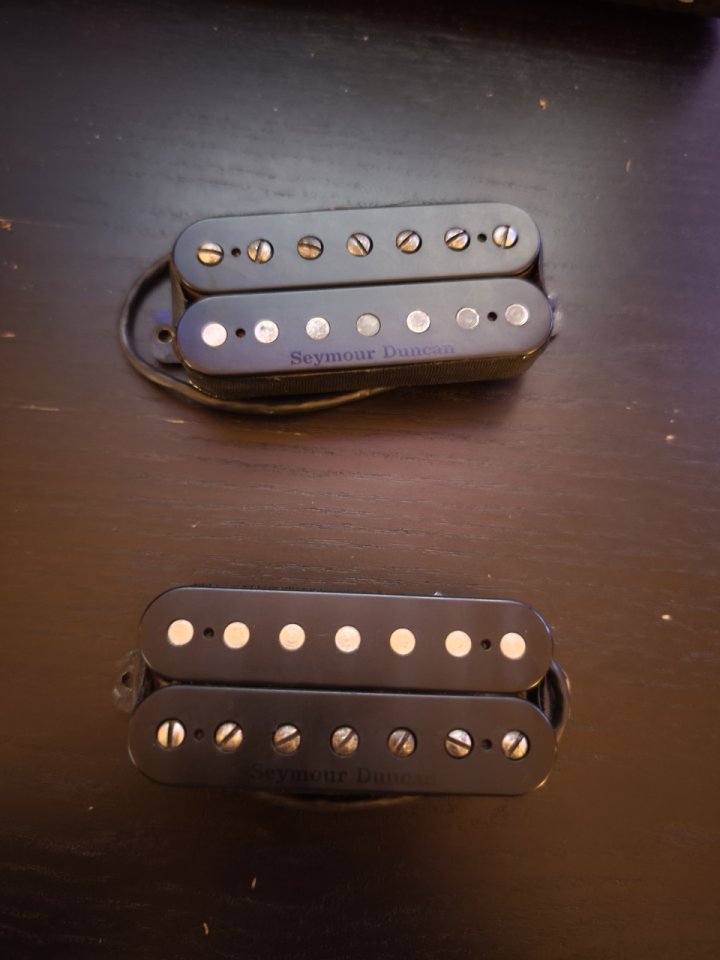 Seymour Duncan Pegasus-Sentient 7 cuerdas