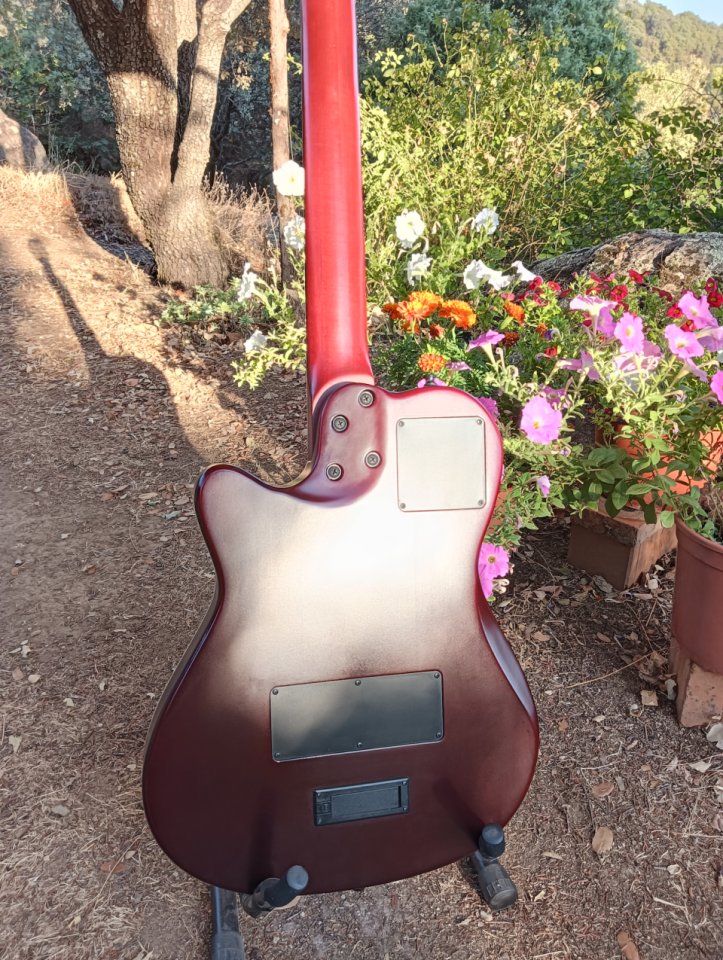 Godin Multiac Nylon Encore de segunda mano · Foto 3 de 6 · Toledo · 990 €