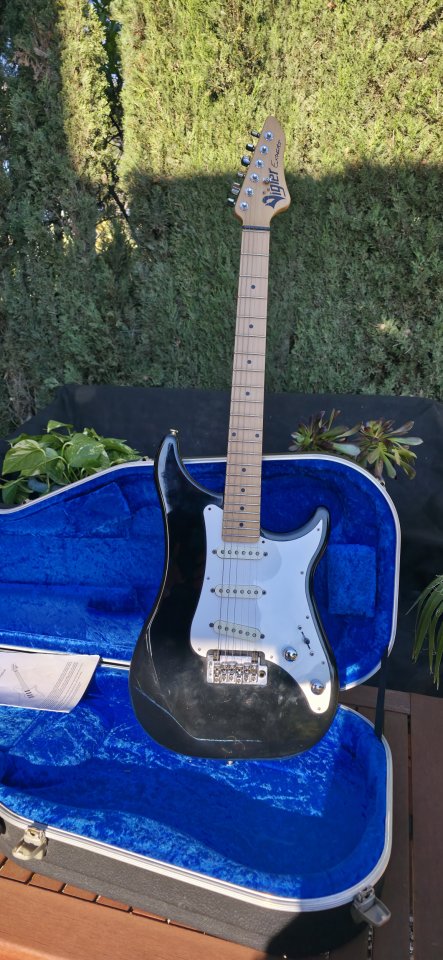 Vigier Expert Retro 54 o cambio por Stratocaster custom shop