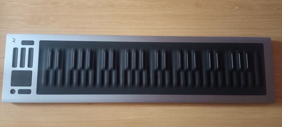 Roli Seaboard 2 de segunda mano · Foto 2 de 8 · Tarragona · 850 €