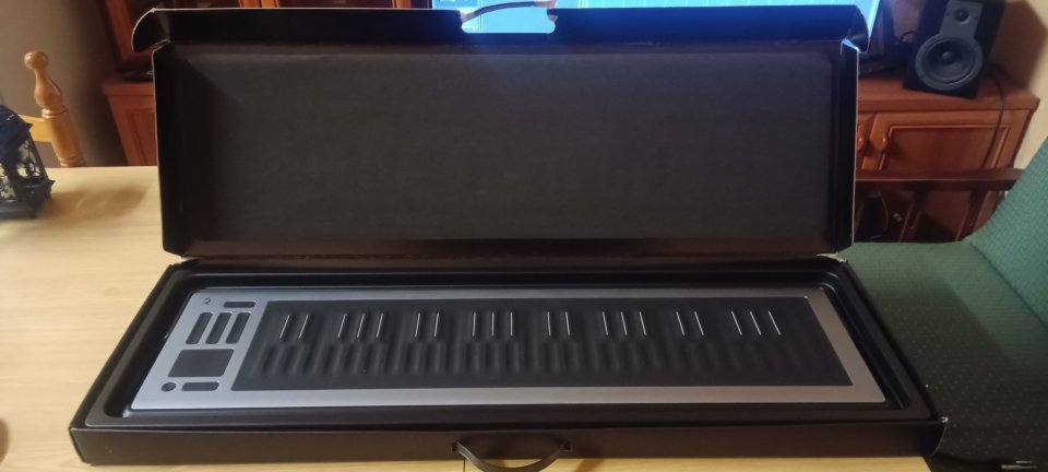 Roli Seaboard 2 de segunda mano · Foto 3 de 8 · Tarragona · 850 €
