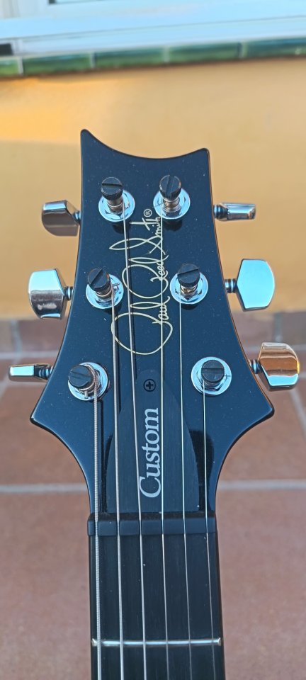 PRS S2 Custom 24 Elephant Grey