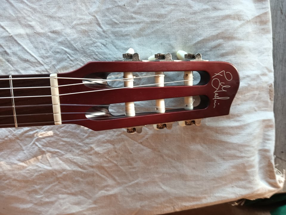 Godin Multiac Nylon Encore de segunda mano · Foto 6 de 6 · Toledo · 990 €