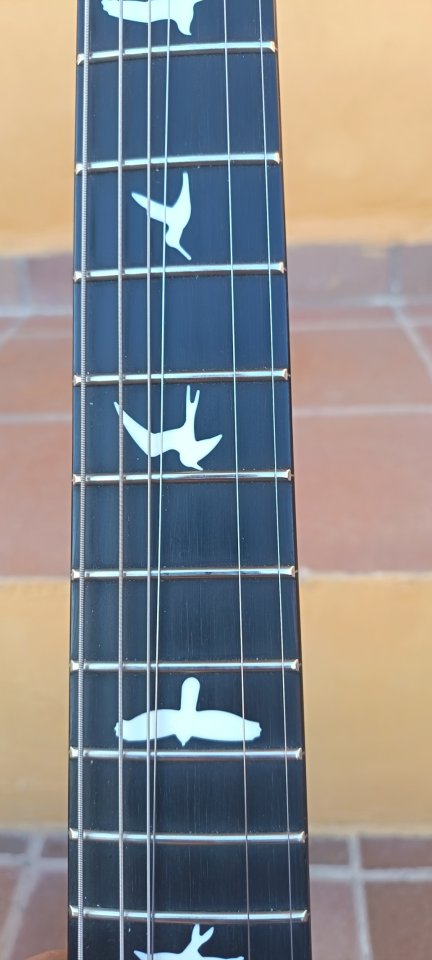 PRS S2 Custom 24 Elephant Grey