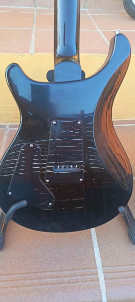 PRS S2 Custom 24 Elephant Grey