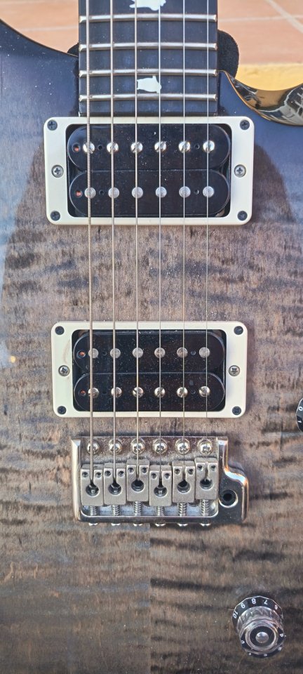 PRS S2 Custom 24 Elephant Grey
