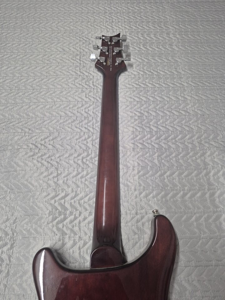 PRS SE CUSTOM 24 BG de segunda mano · Foto 3 de 6 · Madrid · 650 €