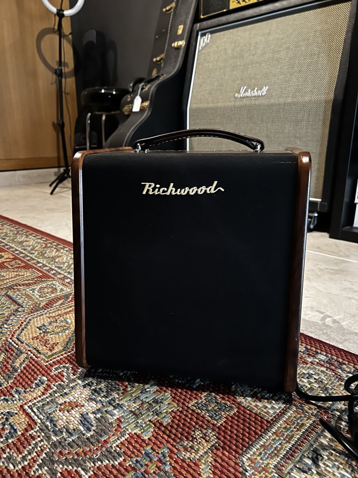 Amplificador guitarra acústica Richwood RAC-50