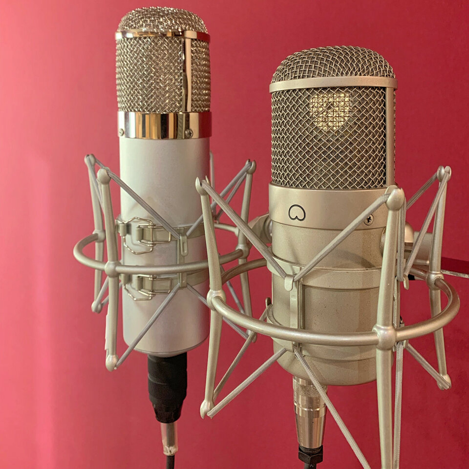 Shockmount U47 (6 disponibles)