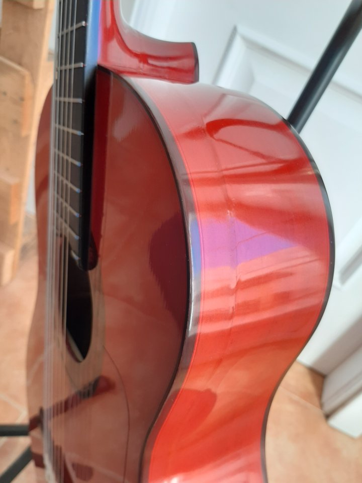 G. flamenca de Primera