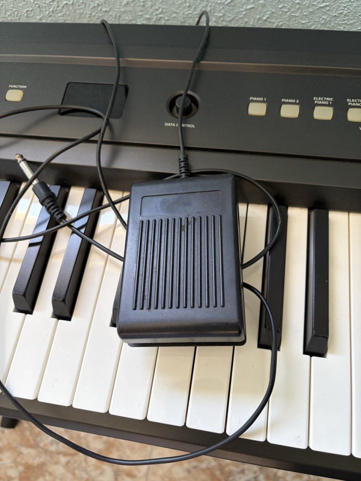 Piano digital contrapesado Thomann DP-25 (88 teclas) + Pie y Pedal de segunda mano · Foto 4 de 6 · Madrid · 230 €