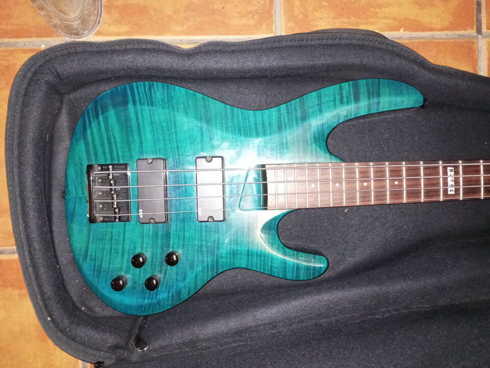 Bajo LTD B 154