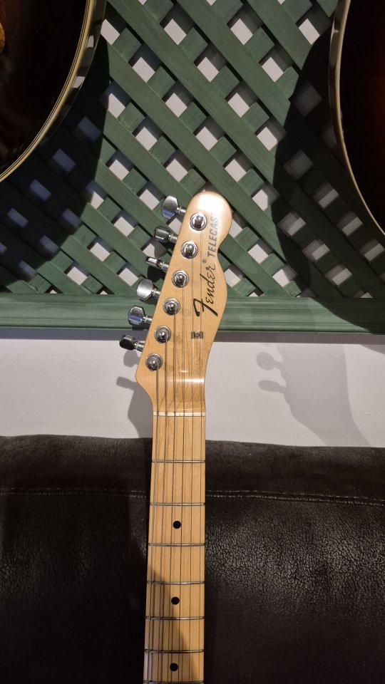 Fender Telecaster Thinline Vintage 69 MIJ del 85