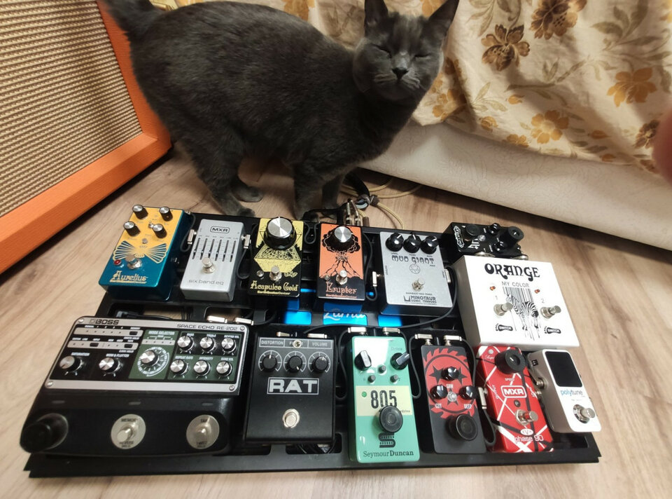 Pedalboard vitaminada | 180€
