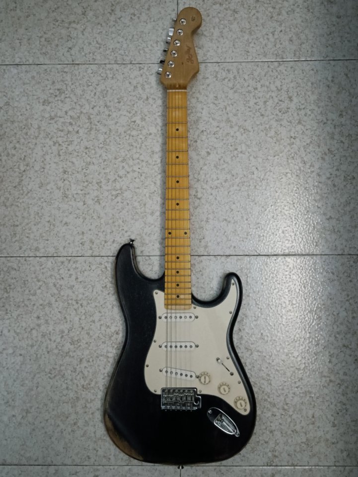Stratocaster Partcaster