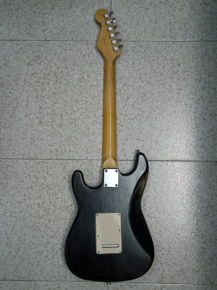 Stratocaster Partcaster