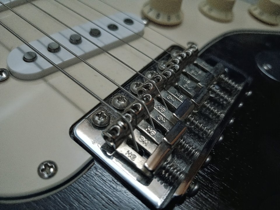 Stratocaster Partcaster