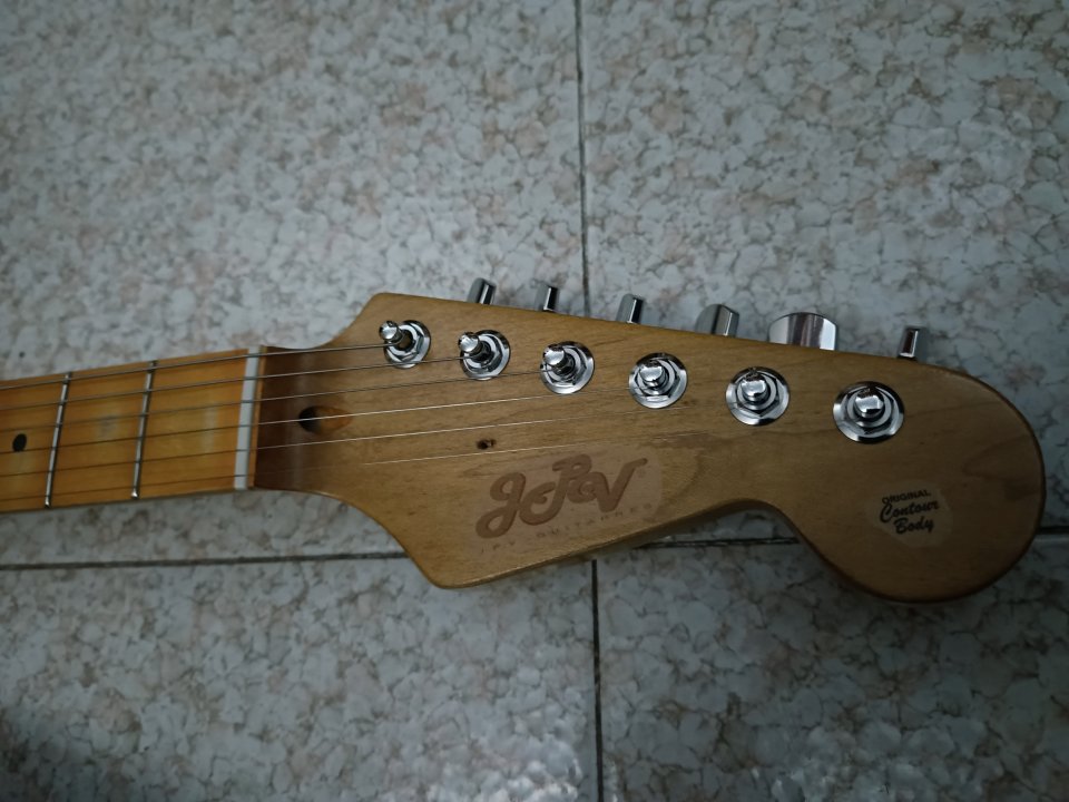 Stratocaster Partcaster