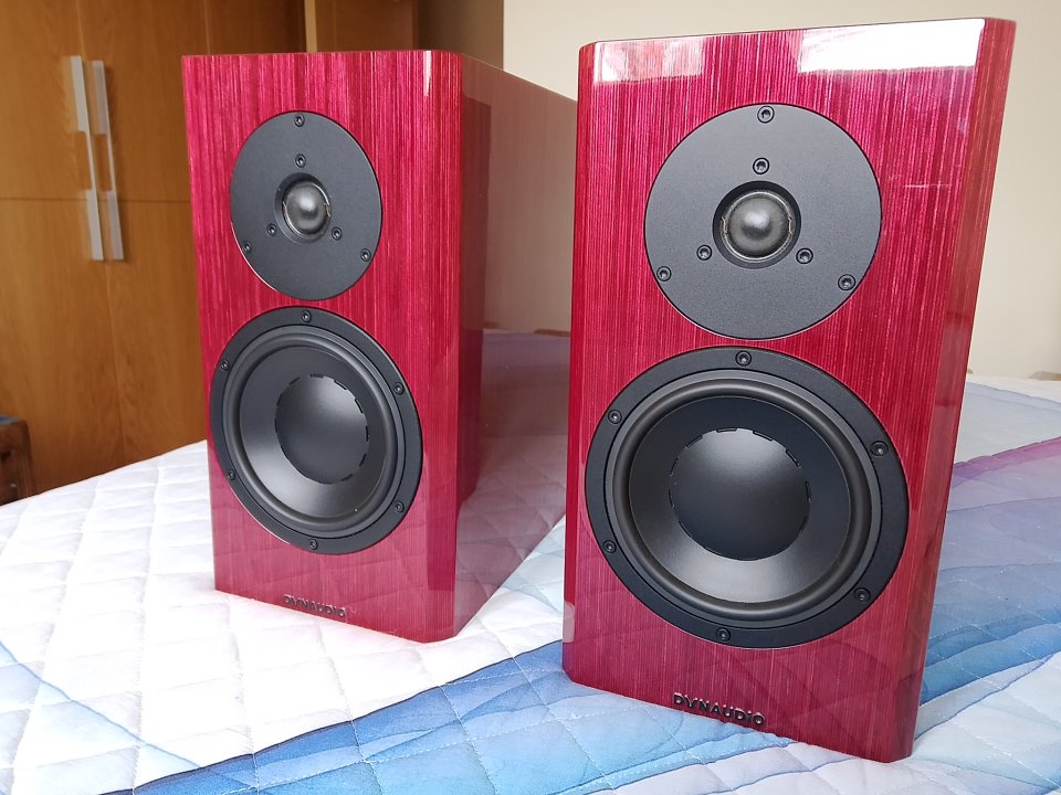 Dynaudio Special Forty (Rojo lacado) - Estado 10/10 - Ocasión