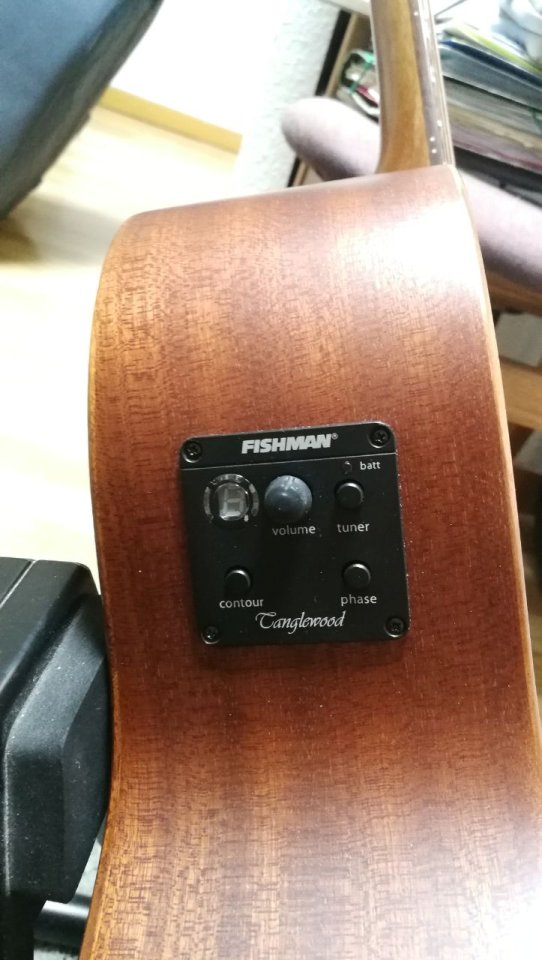 Guitarra Tanglewood Premier Historic modelo: TW130SMCE de segunda mano · Foto 5 de 10 · Madrid · 400 €