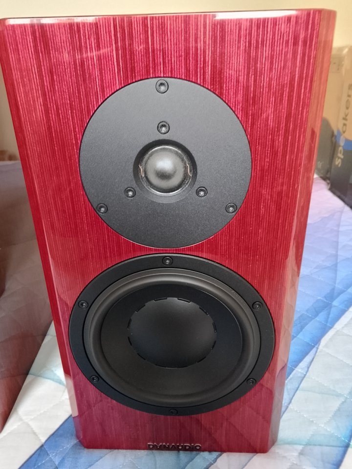 Dynaudio Special Forty (Rojo lacado) - Estado 10/10 - Ocasión