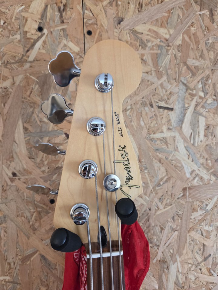 Bajo Jaguar por partes