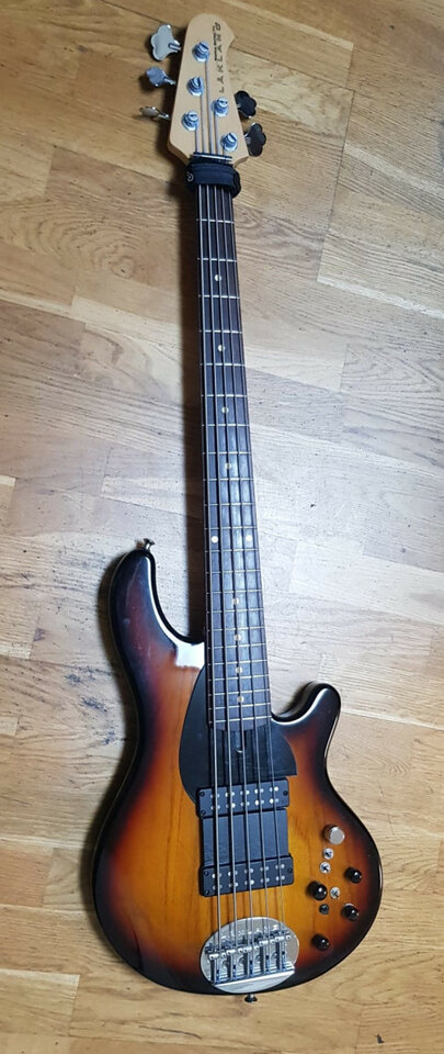 Bajo Lakland-skyline-series-5 cuerdas + bajo Mono Sleeve