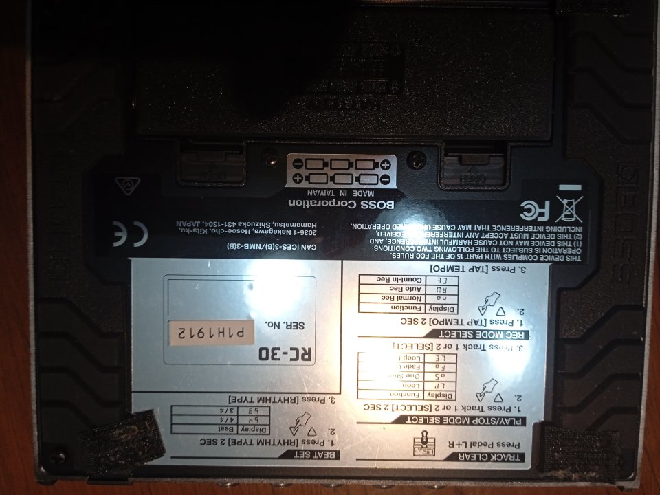 Boss rc30 loop station