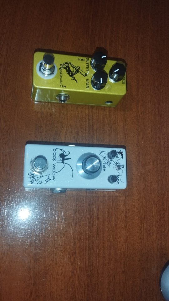 Mosky Golden Horse y Black Widow Bite