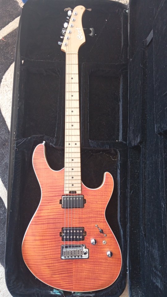 Cort g290 fat modificada