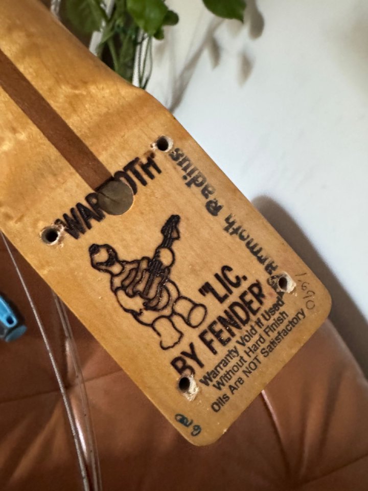 Fender Telecaster Custom Warmoth de segunda mano · Foto 9 de 10 · Palencia · 1200 €