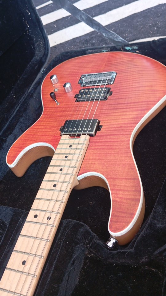 Cort g290 fat modificada