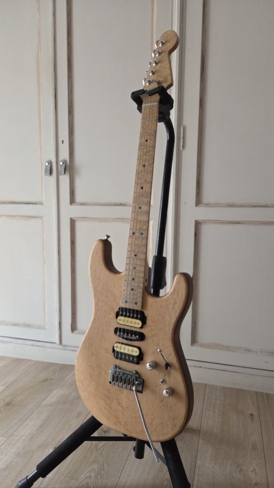 Guitarra Warmoth - Vendo/Cambio (Actualizado)