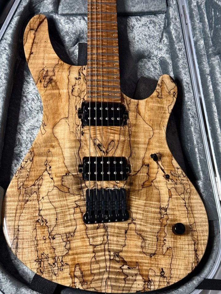 REBAJA Vendo Mayones Regius Máster Grade de segunda mano · Foto 5 de 10 · Cádiz · 4300 €