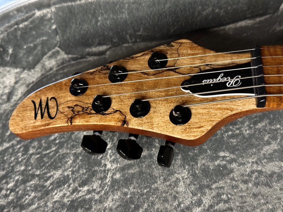 REBAJA Vendo Mayones Regius Máster Grade de segunda mano · Foto 6 de 10 · Cádiz · 4300 €