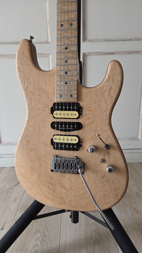 Guitarra Warmoth - Vendo/Cambio (Rebaja por Navidad)