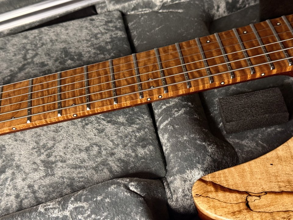 REBAJA Vendo Mayones Regius Máster Grade de segunda mano · Foto 7 de 10 · Cádiz · 4300 €