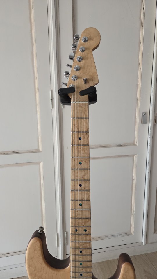 Guitarra Warmoth - Vendo/Cambio (Rebaja por Navidad)