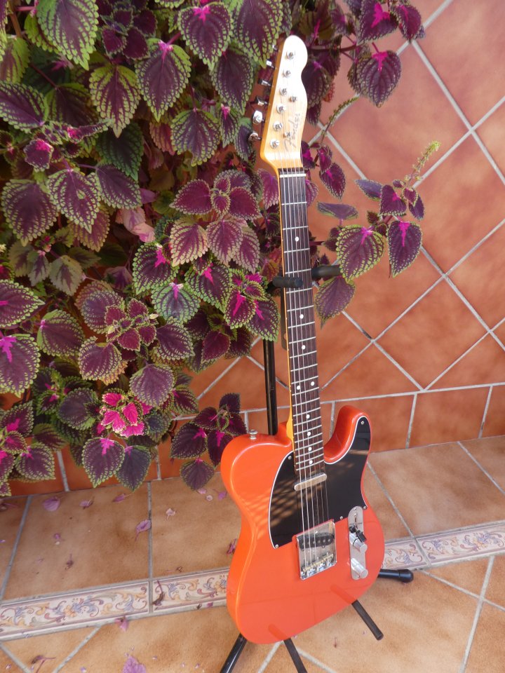 Telecaster partcaster 1ª calidad