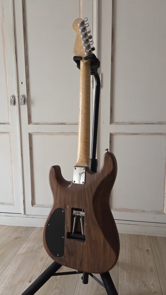 Guitarra Warmoth - Vendo/Cambio (Rebaja por Navidad)